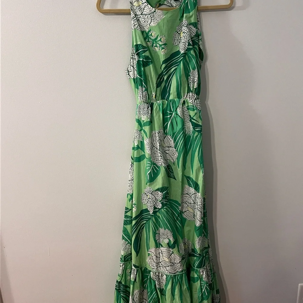 FARM Rio Green Dewdrop Floral Maxi Dress - Picture 2 of 4